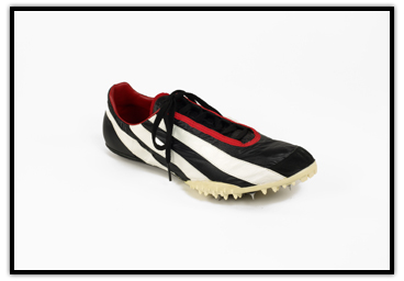 Chaussure de Donovan Bailey