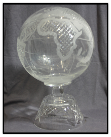 World Cup trophy for being the backstroke swimming champion